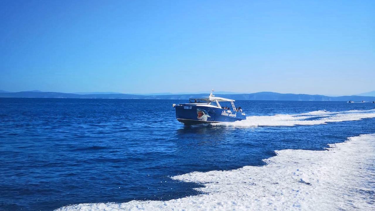 Blue Shark Gäste am Strand der Pakleni Inseln