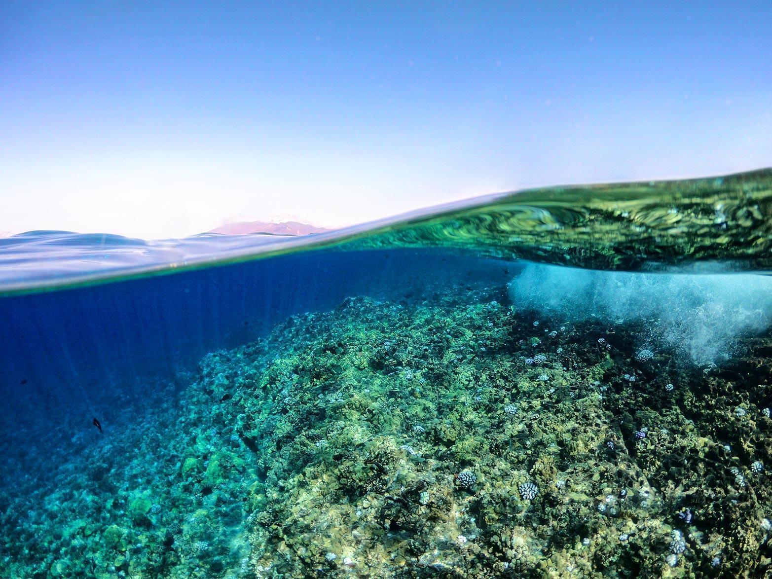Crystal clear sea of the Blue Lagoon near islands Drvenik