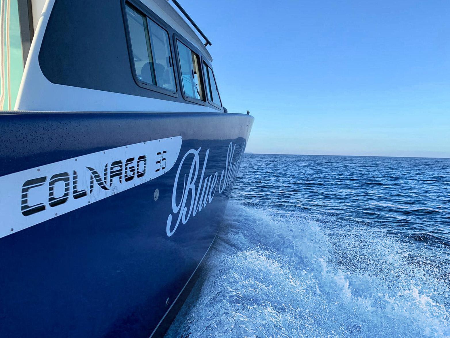 Blue Shark Colnago Boat on the route to Maslinica