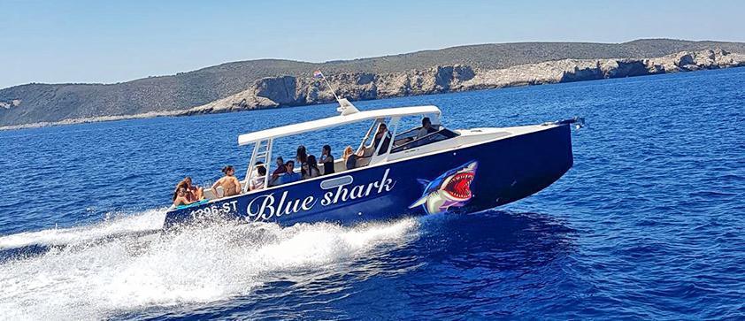blue shark tours fun and action