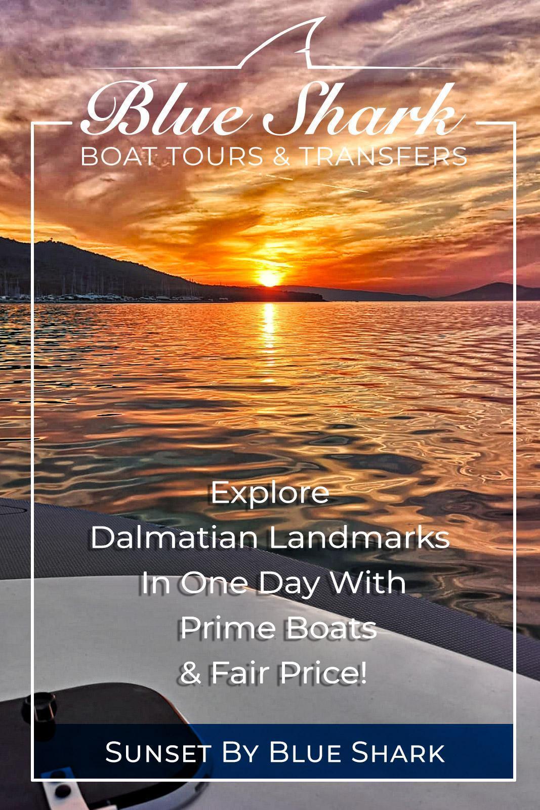 sunset by blue shark