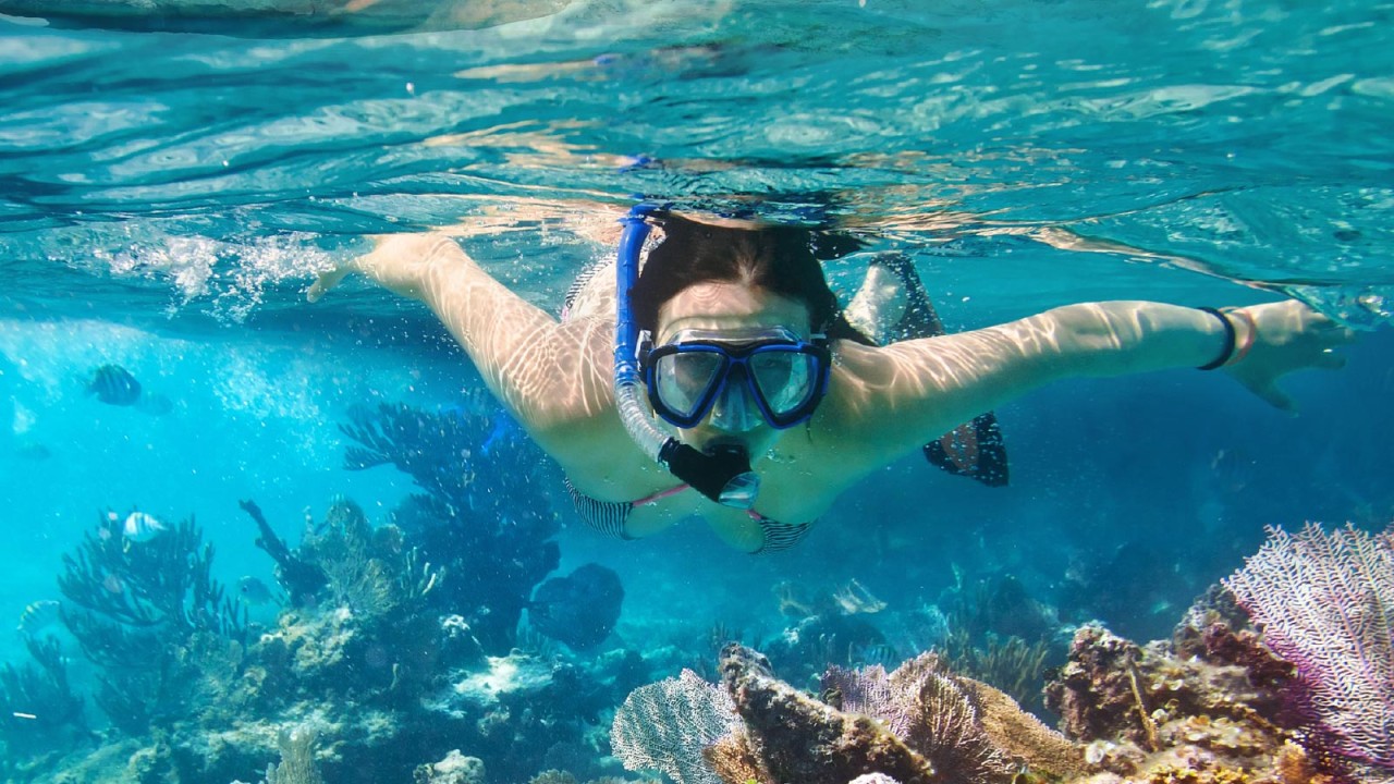 The Adriatic is ideal for snorkelling