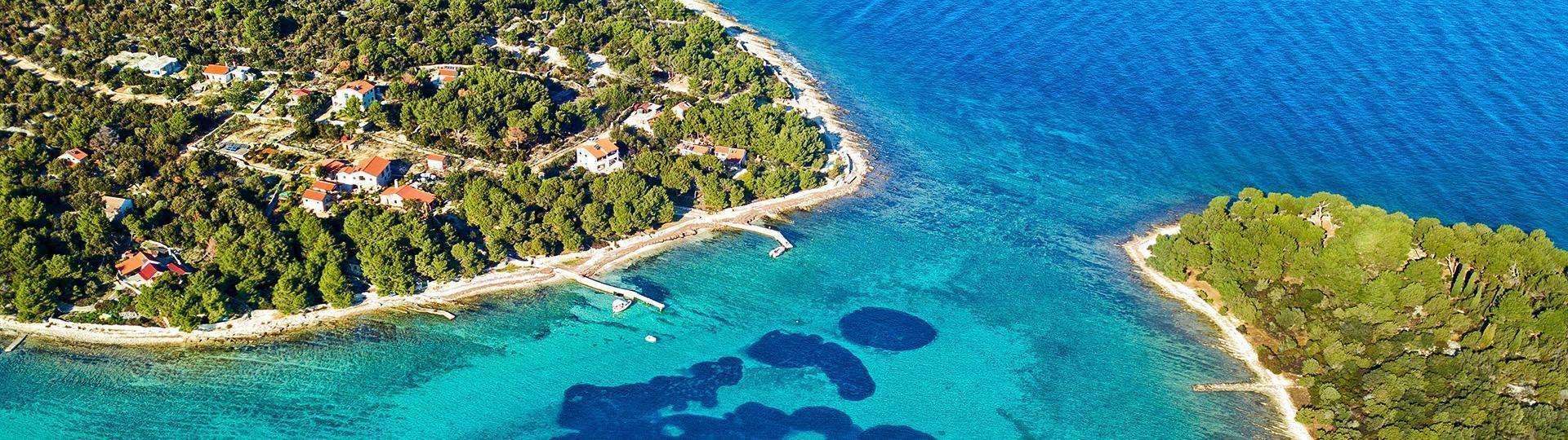 Blue Shark Tours from split BlueLagoon by island Drvenik