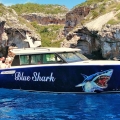 Blue Shark Boat Tours & Transfe(stinivai)