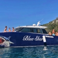 Blue Shark Boat Tours & Transfers blue lagoon boat