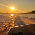 Blue Shark Boat Tours & Transfers hvar adn pakleni island private tour hvar sunset